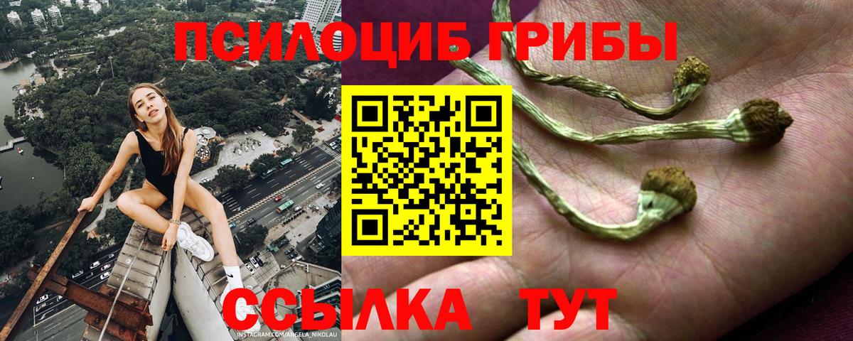 Галлюциногенные грибы прущие грибы  Псилоцибиновые грибы Psilocybe  Вход с VPN  где можно купить наркотик  Отрадное 