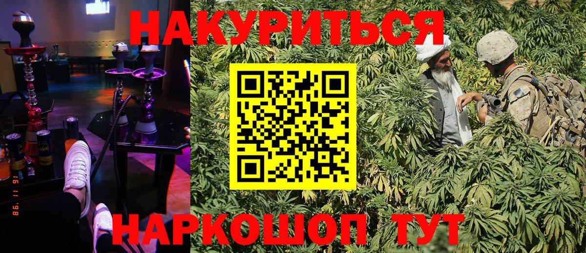 Канабис OG Kush Отрадное